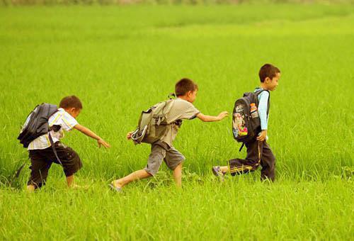 主角名是裴寂陈麦全文免费阅读正版