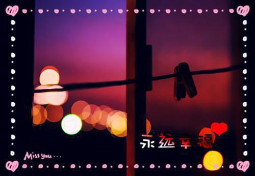 鹤愿念想小说完整版 沈鹤林湘愿谢渝在线阅读