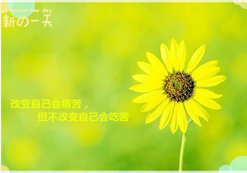 疯批反派抢着给她当爸爸她成小可怜了全文免费阅读 盛越羲黎又又小说最新章节