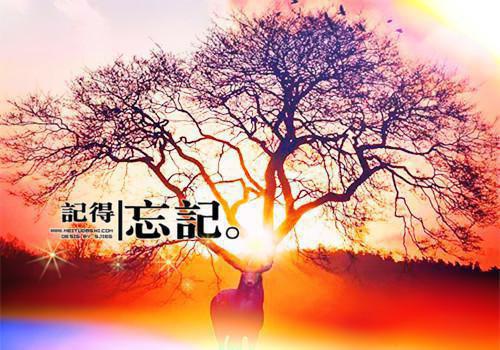 林栀蒋琳琳小说在线阅读 林栀蒋琳琳最新章节目录