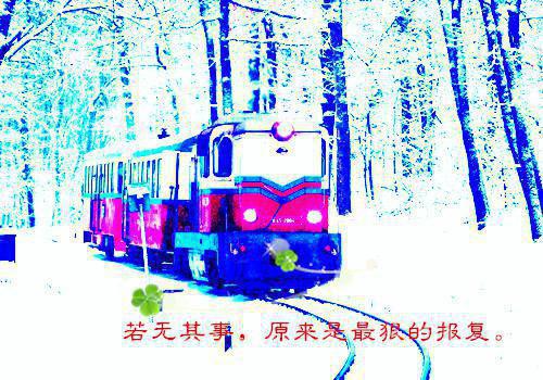 多情月季陆潮泽温卿卿安然完整版在线阅读