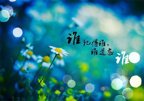 《我捡到的那条龙有点撩》最新章节by一壶梨花白无广告在线阅读