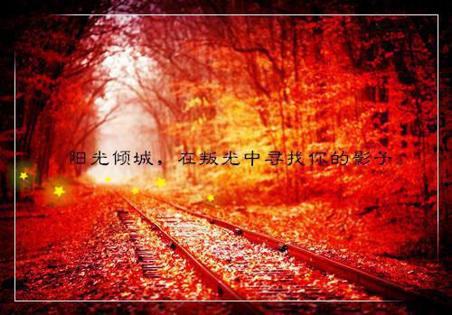 宋淼柳月方晴晴什么小说 宋淼柳月方晴晴全文免费阅读