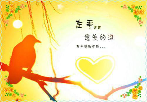 老公假死骗我净身出户，我直接送他火葬场小说全文 宋琛素素完整版在线阅读