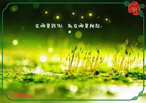 顾悦林枫林思思傅明朗小说 顾悦林枫林思思傅明朗免费章节阅读