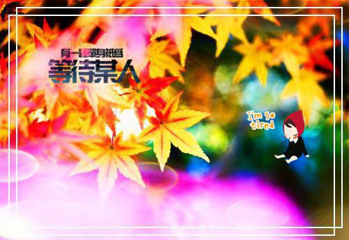 秦书淮陈时樾小说 秦书淮陈时樾免费全文阅读