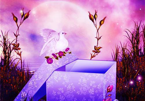 秦璇王浩免费阅读 秦璇王浩最新章节目录