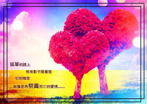 叶知雨秦淮煦秦昱泽免费全本小说 叶知雨秦淮煦秦昱泽章节目录