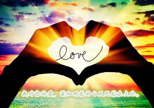 周瑞荣可夏桉的故事 绝不回头章节阅读