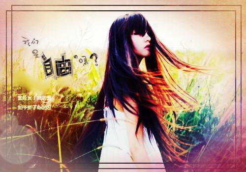 秦沁沁小说名字 秦沁沁全文免费阅读