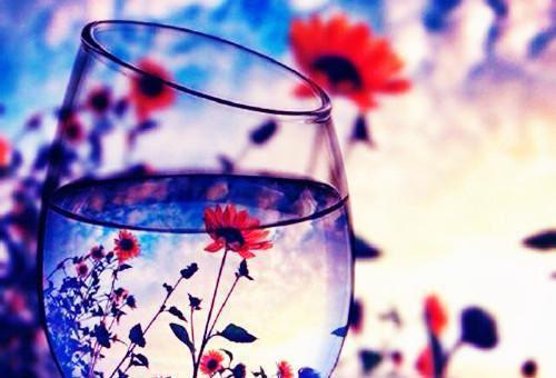 严延霆宋芷怡顾蓝旭小说 严延霆宋芷怡顾蓝旭全文免费阅读