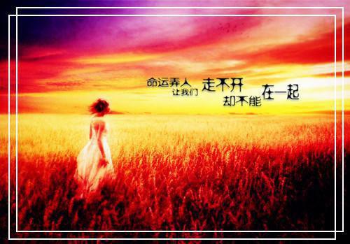 沈清颜裴临免费阅读小说 沈清颜裴临第2章