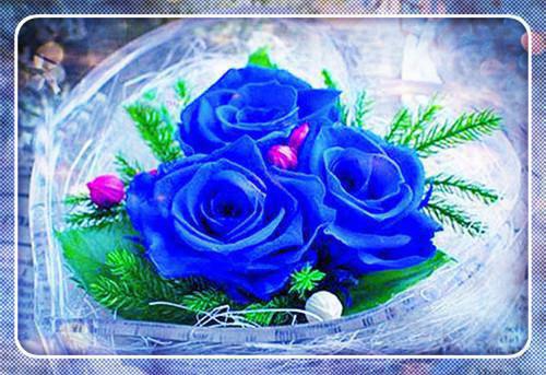 闪婚成宠 爆改千亿总裁免费章节抢先阅读