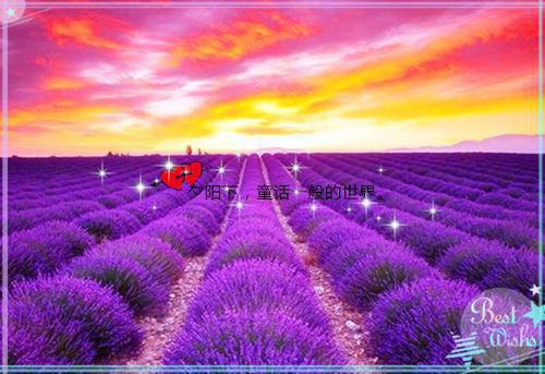 白杉杉林丹小说名字 白杉杉林丹全文免费阅读