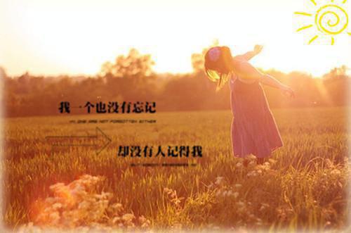 纪妤肖景颂小说阅读 纪妤肖景颂全文免费无广告
