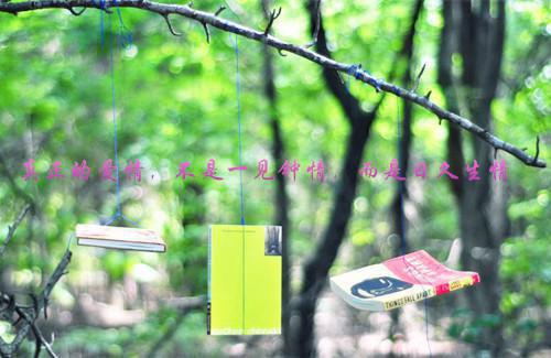 学生会举行选妃大会，我借机给村里的祖奶奶选产男无弹窗阅读 姜暖徐览小说