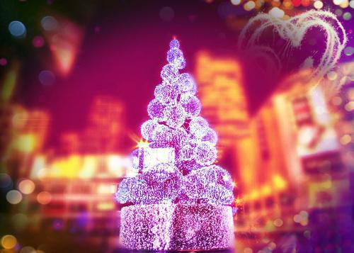 我把夫君还给他的白月光后全文阅读 沈凌芸娘小说无弹窗