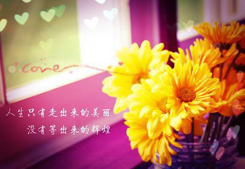 顾呈域姜愫最新章节免费 顾呈域姜愫第4章在线阅读