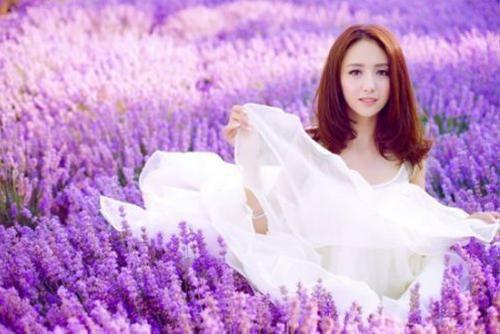 许见卿盛贺言小说(许见卿盛贺言)全文免费阅读无弹窗(小说全文免费阅读)许见卿盛贺言最新章节列表