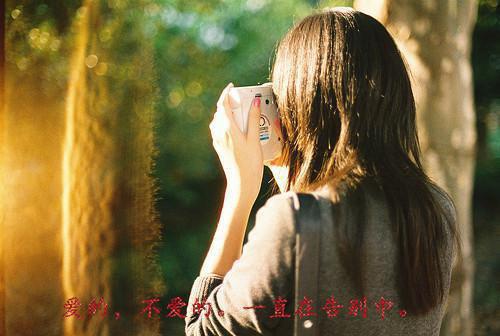 (抖音小说)宋时染陆寻之免费阅读第四章