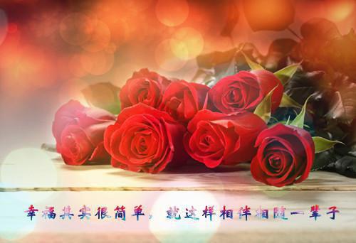 高芊芊高柏小说 高芊芊高柏完整版免费阅读