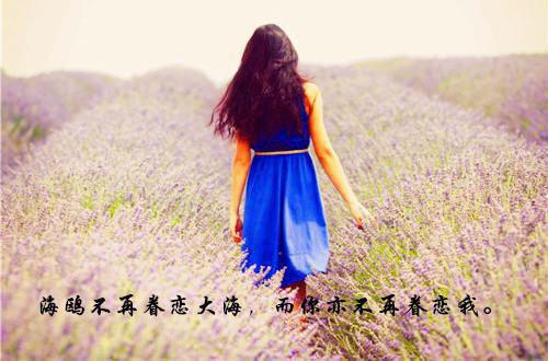 宋婉夏清清顾景瑜小说叫什么名字 宋婉夏清清顾景瑜全文免费阅读