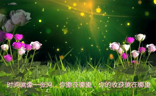 甄贵妃苏婕妤大结局免费阅读 甄贵妃苏婕妤全文小说