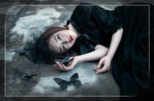 沈落落霍时胤全文阅读 苜肉章节阅读