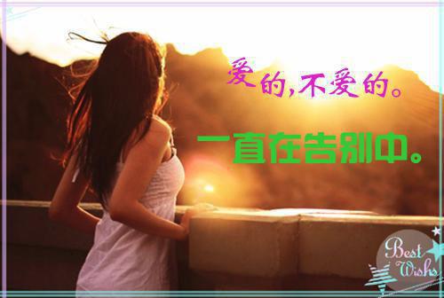 苏暖秋谢九延小说全文免费阅读(苏暖秋谢九延)全文在线阅读无弹窗大结局_(苏暖秋谢九延小说苏暖秋谢九延)苏暖秋谢九延小说在线阅读无弹窗最新章节列表(苏暖秋谢九延)