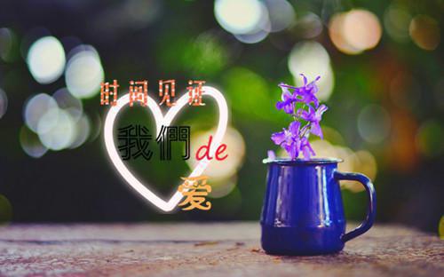 (抖音小说)沈长鸣姜沐瑶宋之默小说全文阅读免费