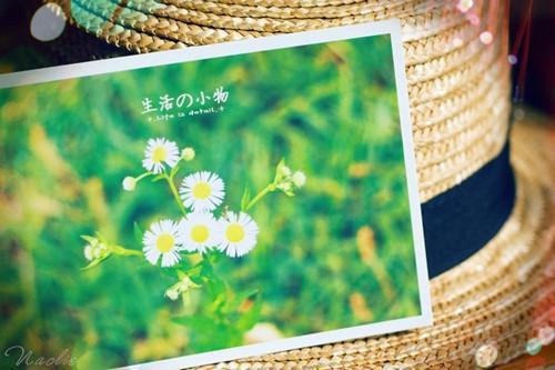 好看的小说《王爷，为妻要休书》南月凝妍墨炫逸全文免费阅读