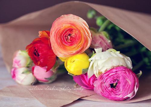 楚怡宁周礼安免费阅读 楚怡宁周礼安大结局