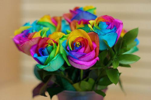 宋寻川池瑶司予免费阅读 宋寻川池瑶司予最新章节目录