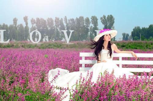 程小棠萧昀舒小说叫什么名字 程小棠萧昀舒全文免费阅读