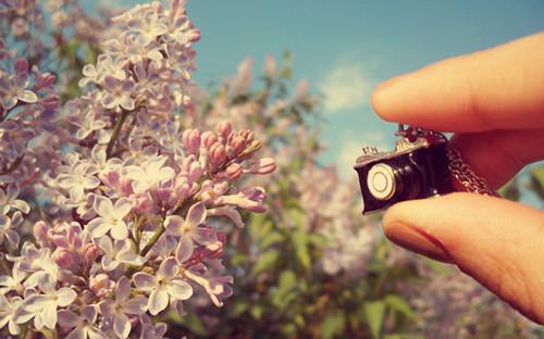 刘志浩靳红霞免费全文 刘志浩靳红霞小说在线阅读