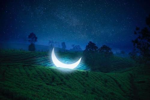 (抖音小说)宋臻沈弃小说全文阅读免费