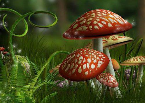 孟桐惜沈尘萧小说目录 孟桐惜沈尘萧完整免费版阅读