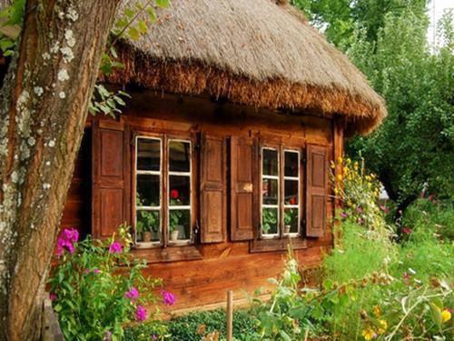 张晴简冰冰财财哪里可以看 张晴简冰冰财财免费阅读第2章