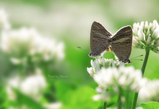 钟滢晓贺霖尘（钟滢晓贺霖尘）全文免费阅读无弹窗大结局_（钟滢晓贺霖尘）钟滢晓贺霖尘免费阅读最新章节列表（钟滢晓贺霖尘）