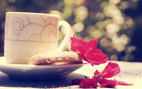 江辰苏欣黄煜小说 我选择离婚后，妻子崩溃了章节阅读