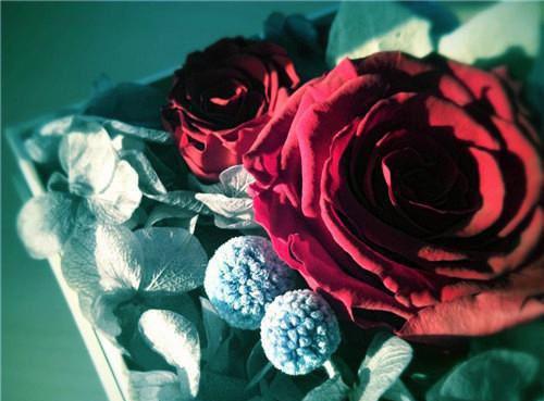 王佳琪王天曜全文免费阅读（暗淡大蒜小说）全文免费王佳琪王天曜读无弹窗大结局_（王佳琪王天曜全文免费王佳琪王天曜读无弹窗）暗淡大蒜小说最新章节列表（王佳琪王天曜）