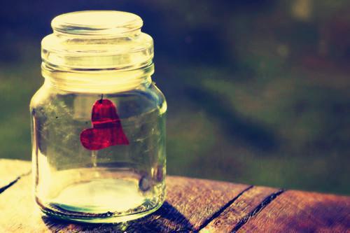 宁以夏陆司霆小说最新章节 宁以夏陆司霆免费阅读