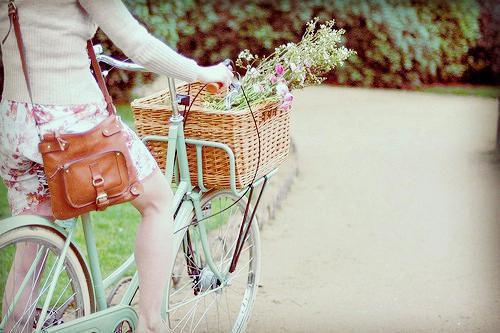 顾明珠周庭野夕夕小说叫什么 顾明珠周庭野夕夕小说全文免费阅读