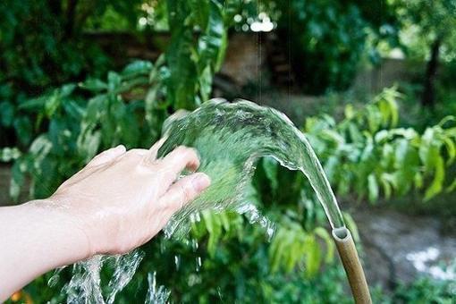 江如卿顾南城江晚晚小说最后结局 江如卿顾南城江晚晚完结版免费阅读