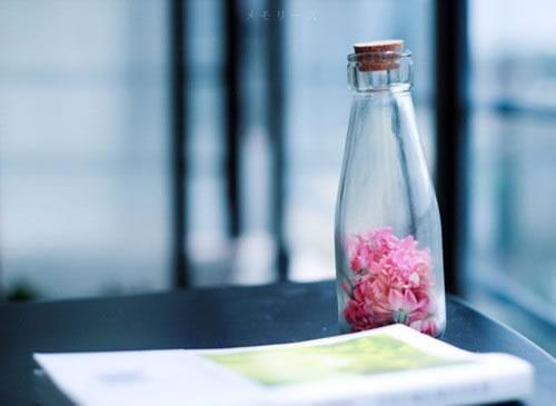 无端较量在线阅读全文 乔安慧宋丽小说无删减无弹窗