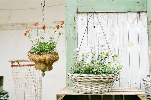 王子恒苏晴江天小说全文阅读 王子恒苏晴江天第1章