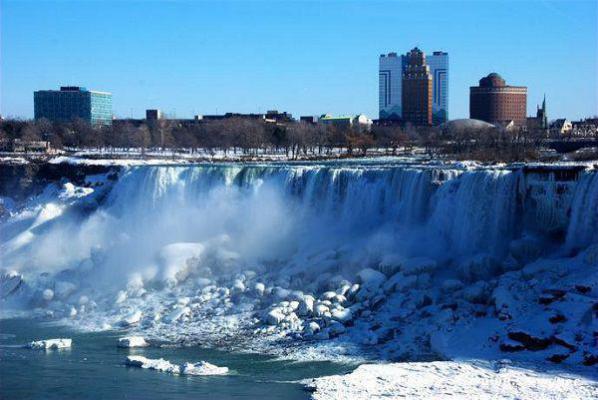 十年暗恋五年婚姻,在这一刻都不要了唐向南贺识琛小说在线免费阅读(大结局)