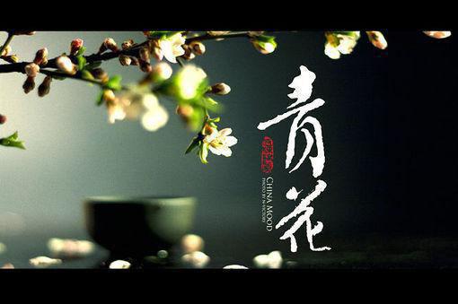 温初岚宋诩免费小说 温初岚宋诩全文阅读目录