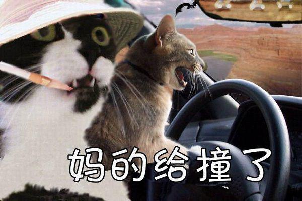 彭丽珠建国免费阅读小说 彭丽珠建国