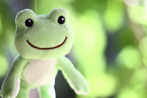 沈锐泽苏雅夏悦免费阅读无弹窗 沈锐泽苏雅夏悦最新章节